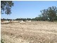 Lots 1-41 Pioneer Estate, Jindera NSW 2642