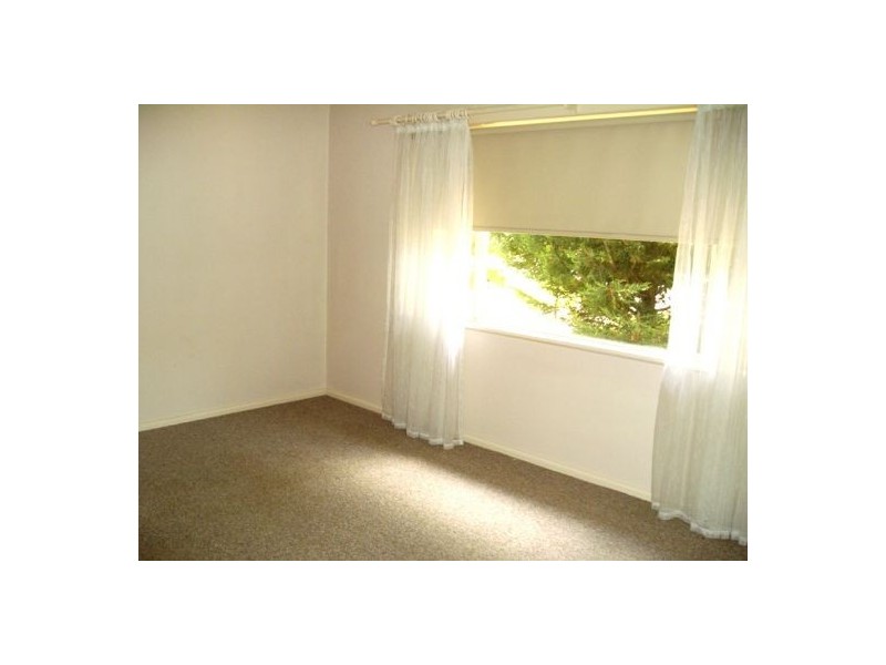 393 Nowland Avenue, Lavington NSW 2641