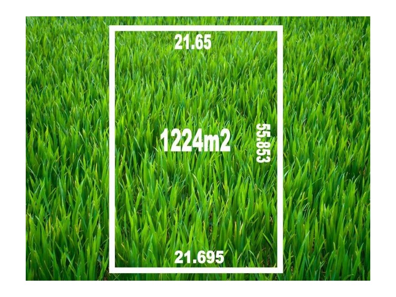 564 Nagle Rd, Lavington NSW 2641