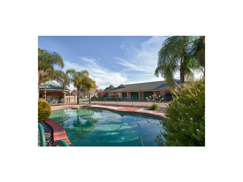 8/14 Tristan Crt, Lavington NSW 2641