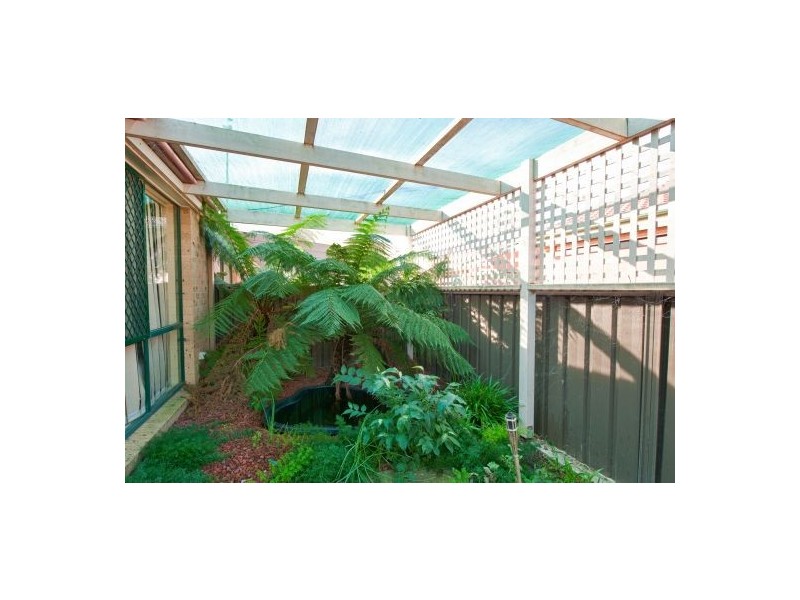 8/14 Tristan Crt, Lavington NSW 2641