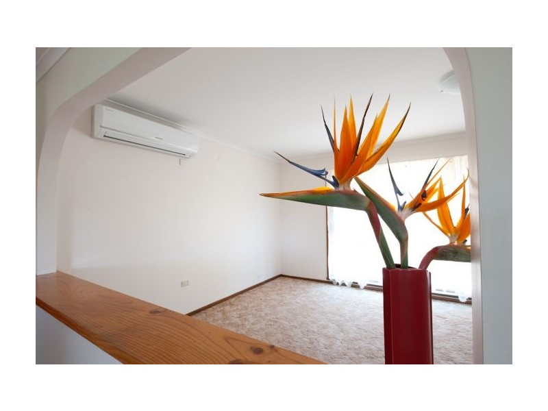 43 Panorama Place, Lavington NSW 2641