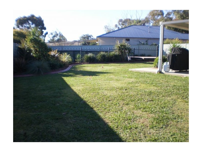 3 Sundew Court, Thurgoona NSW 2640