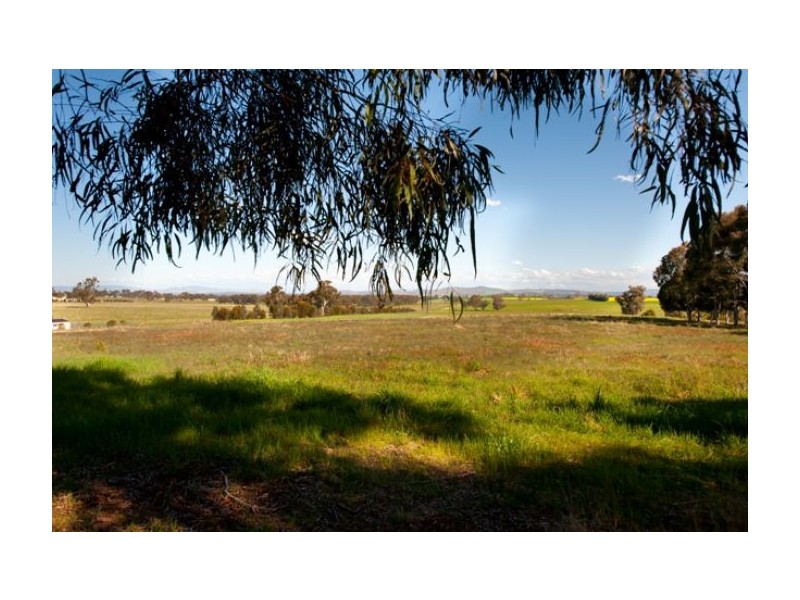 Lot 16 Sarah Street, Gerogery NSW 2642