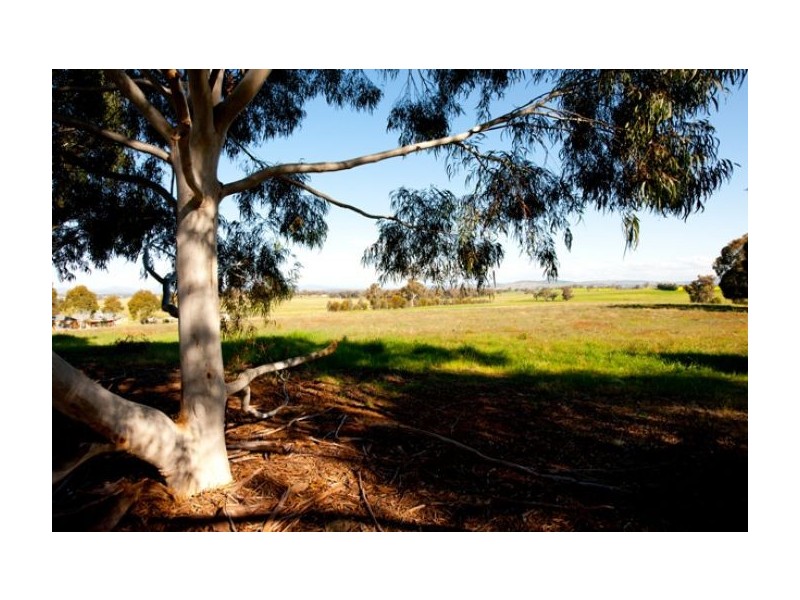 Lot 16 Sarah Street, Gerogery NSW 2642