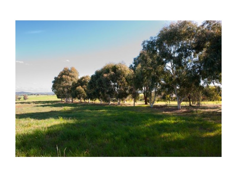 Lot 16 Sarah Street, Gerogery NSW 2642