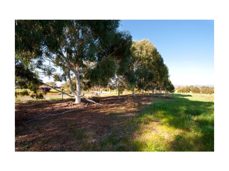 Lot 16 Sarah Street, Gerogery NSW 2642