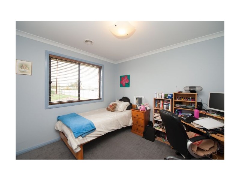 557 Nagle Rd, Lavington NSW 2641