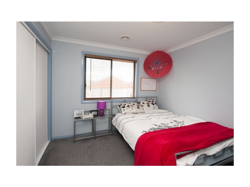 557 Nagle Rd, Lavington NSW 2641