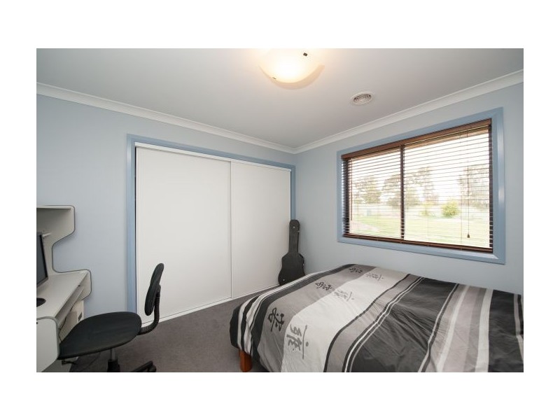 557 Nagle Rd, Lavington NSW 2641