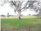 135 Thomas Street, Gerogery NSW 2642