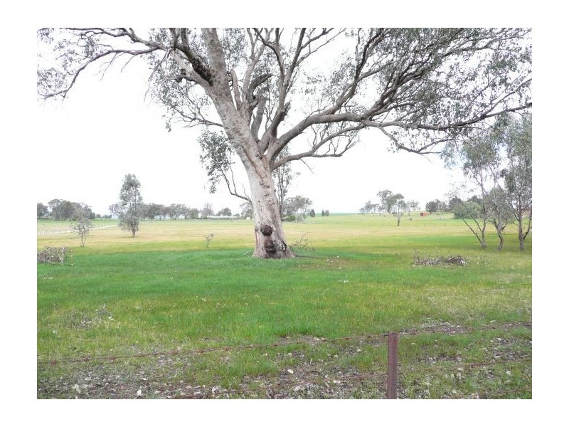 135 Thomas Street, Gerogery NSW 2642