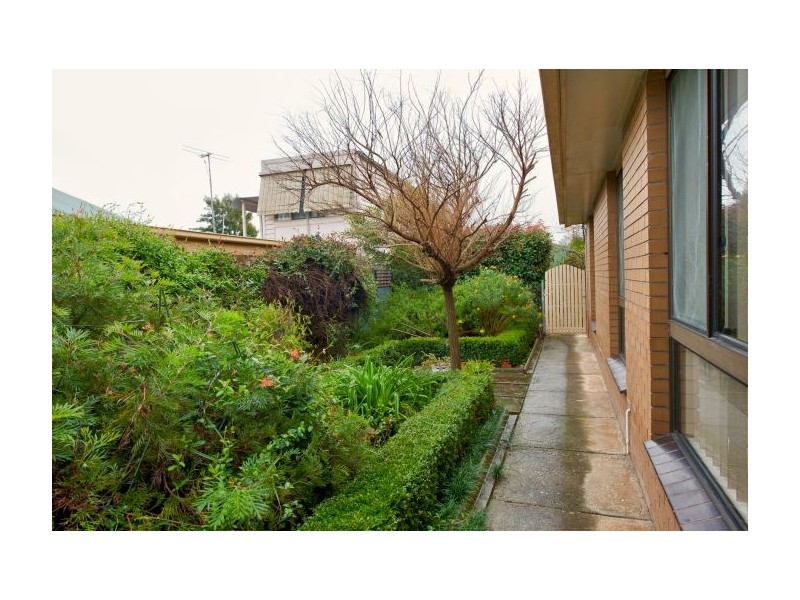 589 Zago Court, Lavington NSW 2641