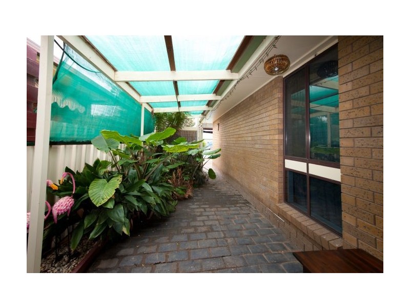 427 Kaitlers Road, Lavington NSW 2641