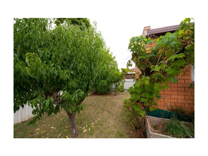 456 Jason Court, Lavington NSW 2641