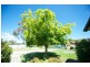 7 Dickson St, Woomargama NSW 2644