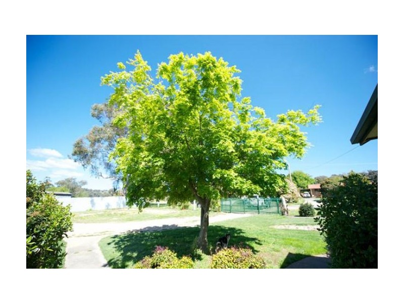 7 Dickson St, Woomargama NSW 2644