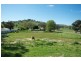 7 Dickson St, Woomargama NSW 2644
