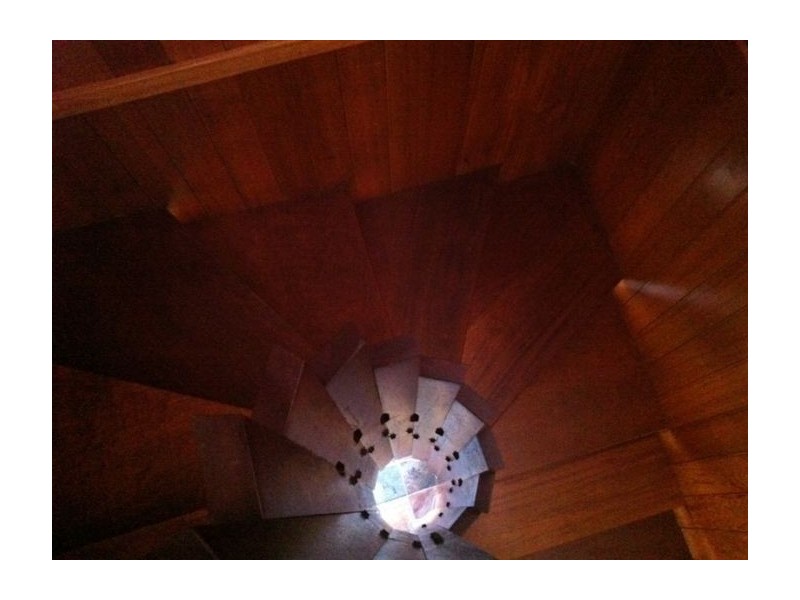 584 Zago Court, Lavington NSW 2641