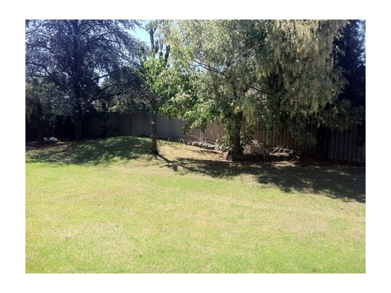 584 Zago Court, Lavington NSW 2641