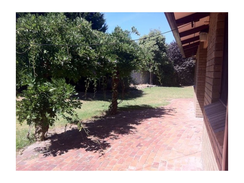 584 Zago Court, Lavington NSW 2641