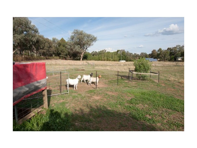 19 Glenellen Road, Gerogery NSW 2642