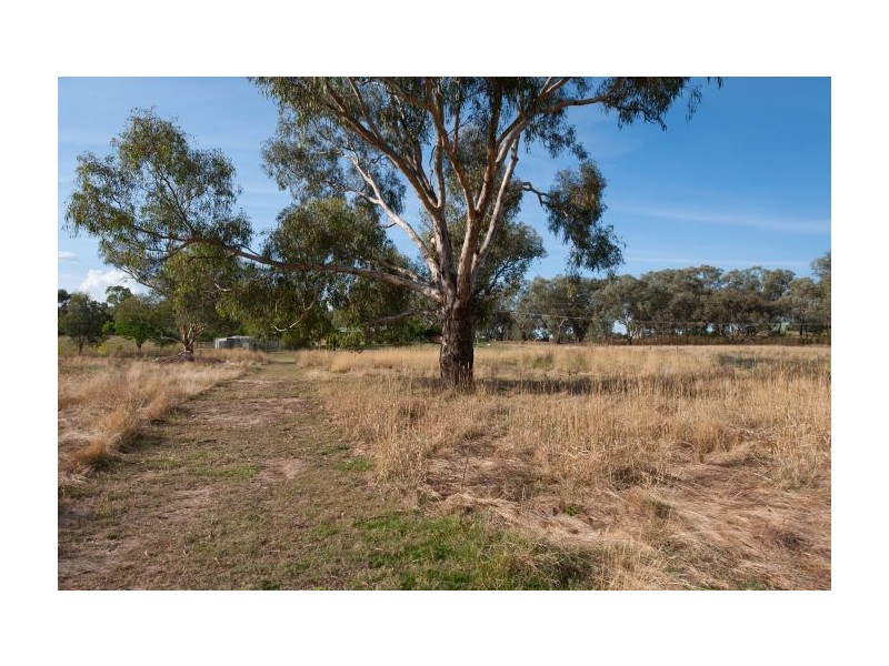 19 Glenellen Road, Gerogery NSW 2642