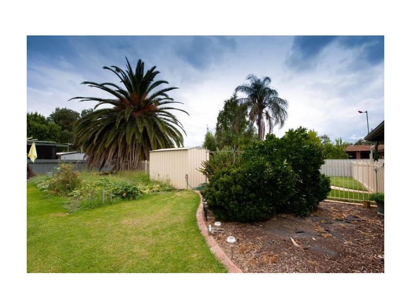 115 Creek St, Jindera NSW 2642