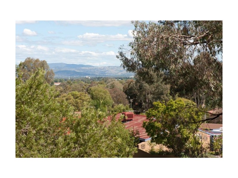 6 Bandalong Rd, Lavington NSW 2641
