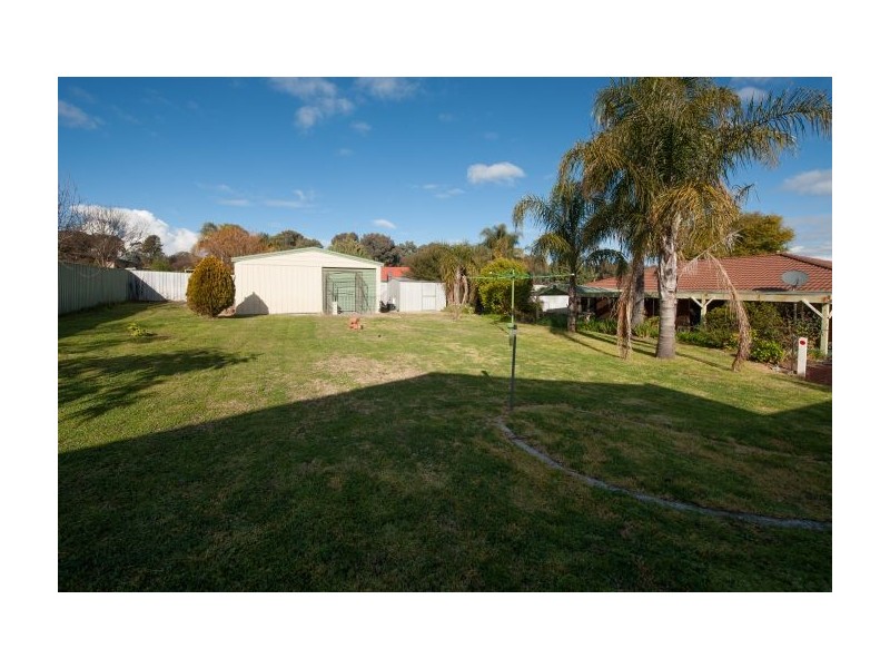 12 Sundew Court, Thurgoona NSW 2640