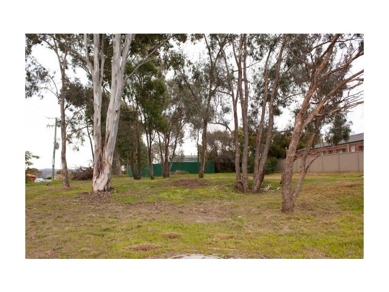 3 Chafia Place, Lavington NSW 2641