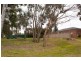 3 Chafia Place, Lavington NSW 2641