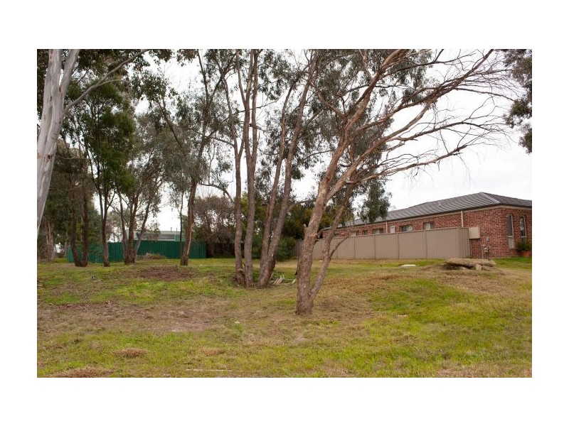 3 Chafia Place, Lavington NSW 2641