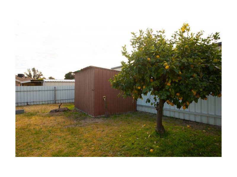 467 Kotthoff St, Lavington NSW 2641