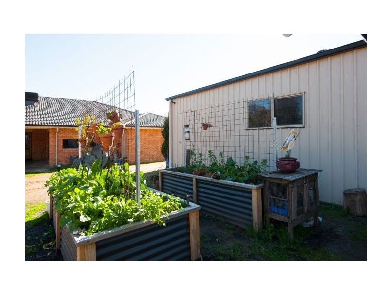 41 Vaughan Road, Thurgoona NSW 2640