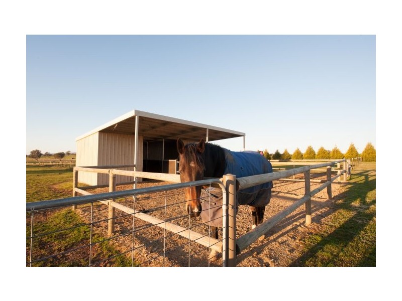 197 Tynan Road, Table Top NSW 2640