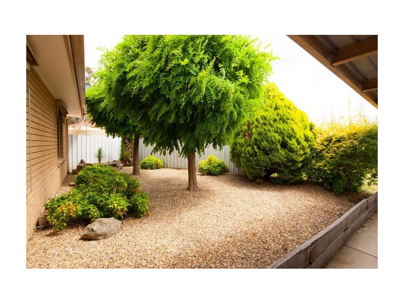 3 Yate Crt, Thurgoona NSW 2640