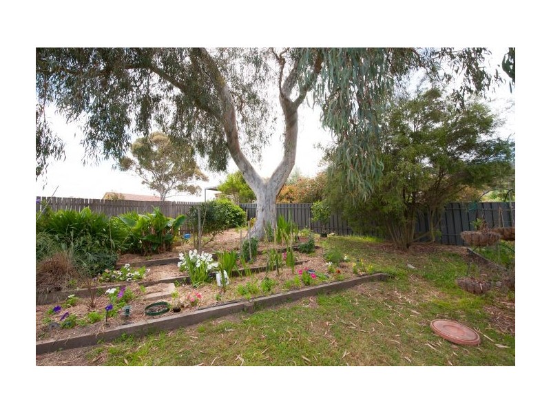 17 Algona Rd, Lavington NSW 2641