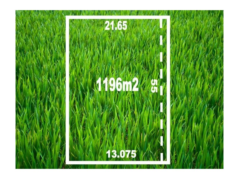 566 Nagle Rd, Lavington NSW 2641