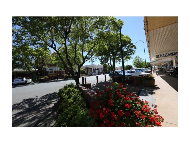 42 Allan Street, Henty NSW 2658