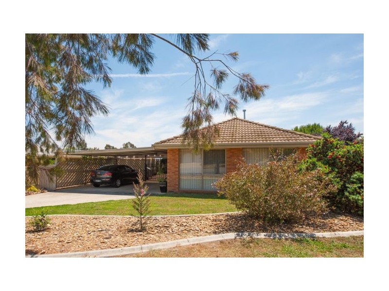 11 Stewart Court, Thurgoona NSW 2640