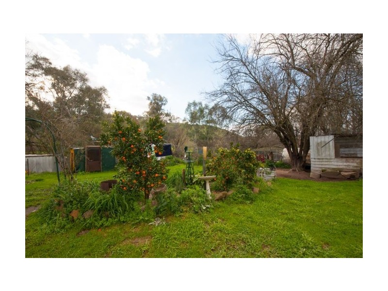 658 Woomargama Way, Woomargama NSW 2644