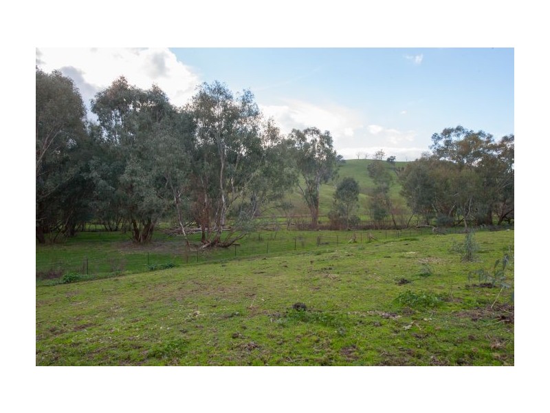 658 Woomargama Way, Woomargama NSW 2644
