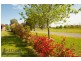 123 Pioneer Drive, Jindera NSW 2642