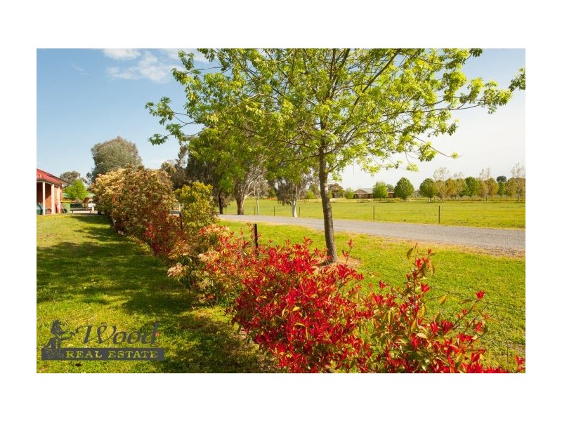 123 Pioneer Drive, Jindera NSW 2642
