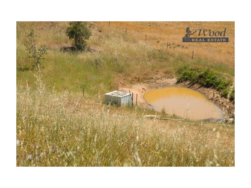76 Tinmine Rd, Mullengandra NSW 2644