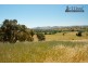 76 Tinmine Rd, Mullengandra NSW 2644
