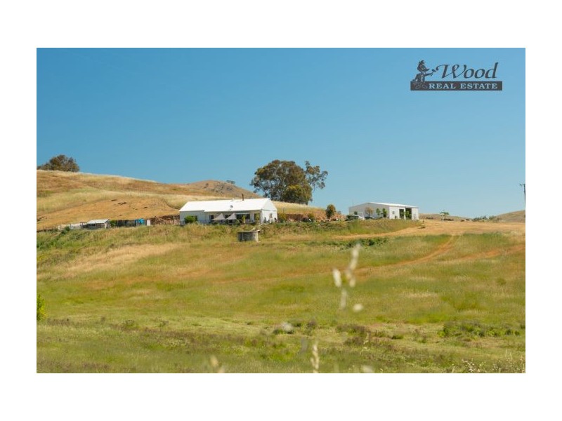 76 Tinmine Rd, Mullengandra NSW 2644