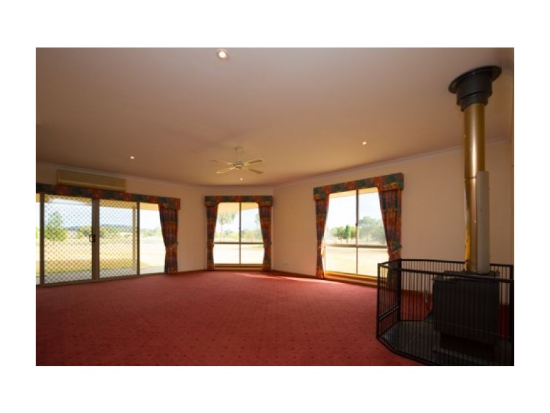 16 Coola Court, Table Top NSW 2640