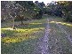 Forest Glen QLD 4556